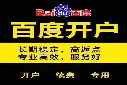 竞价开户优势解析：成功案例对比