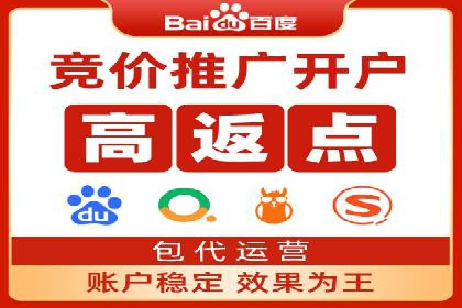 百度推广中SEO优化的成功案例分析